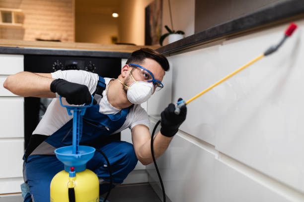 Best Affordable Pest Control Services  in Charles Town, WV