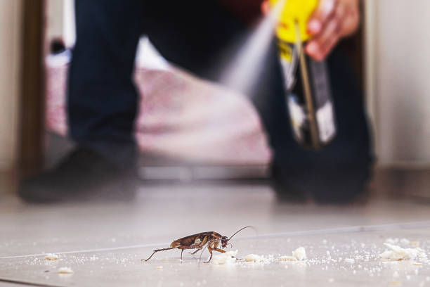 Best Commercial Pest Control Services  in Charles Town, WV